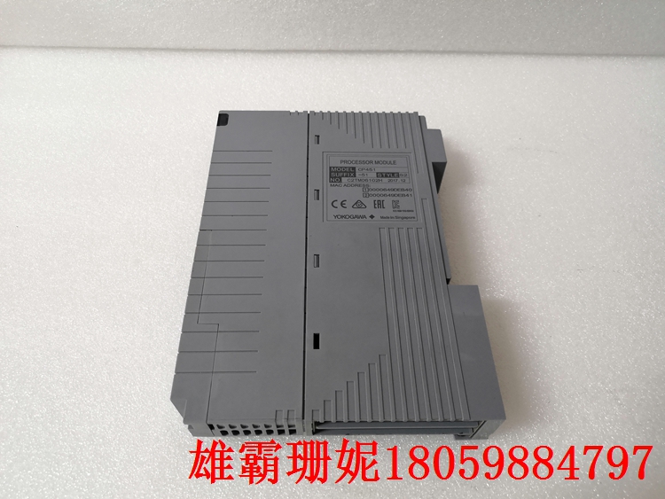 CP451-51   YOKOGAWA    模拟输出电子模块 