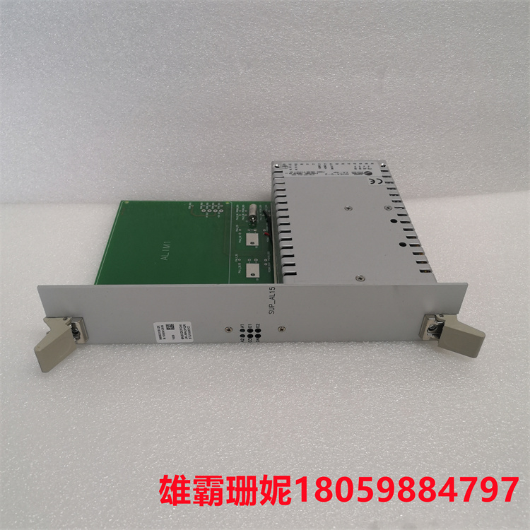 N95313012D SUP-AL N895313000R   接口模块   微处理器控制电路主要功能 