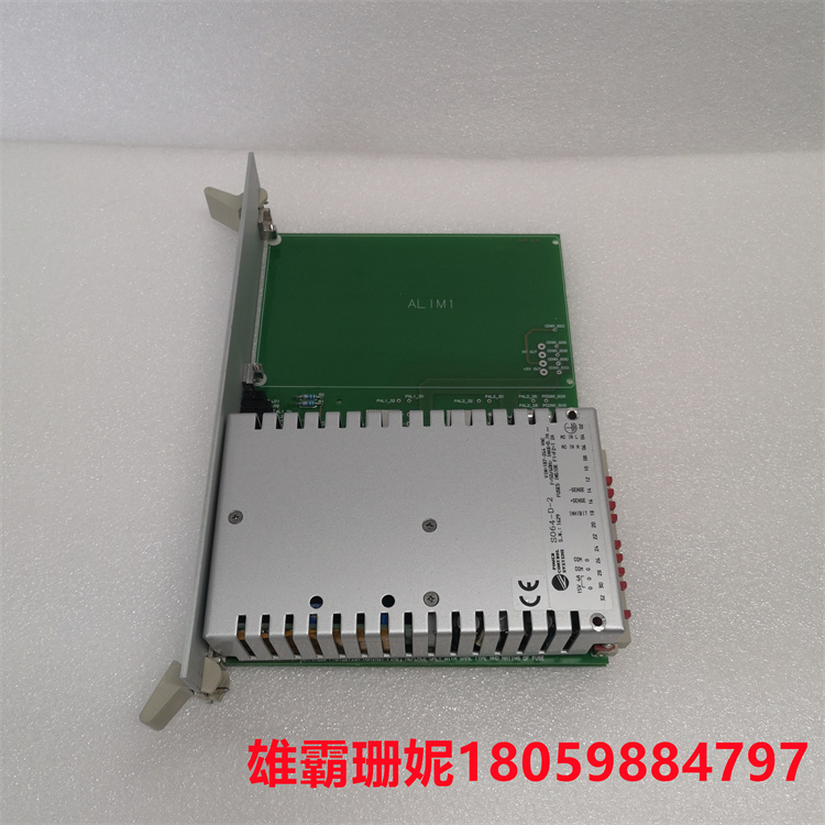 N95313012D SUP-AL N895313000R   接口模块   微处理器控制电路主要功能 