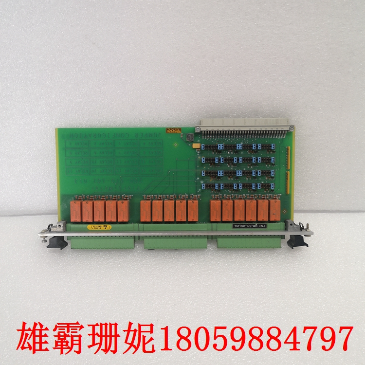 200-570-101-013  VM600  处理器CPU卡   使用以太网或 RS-4 串行连接 