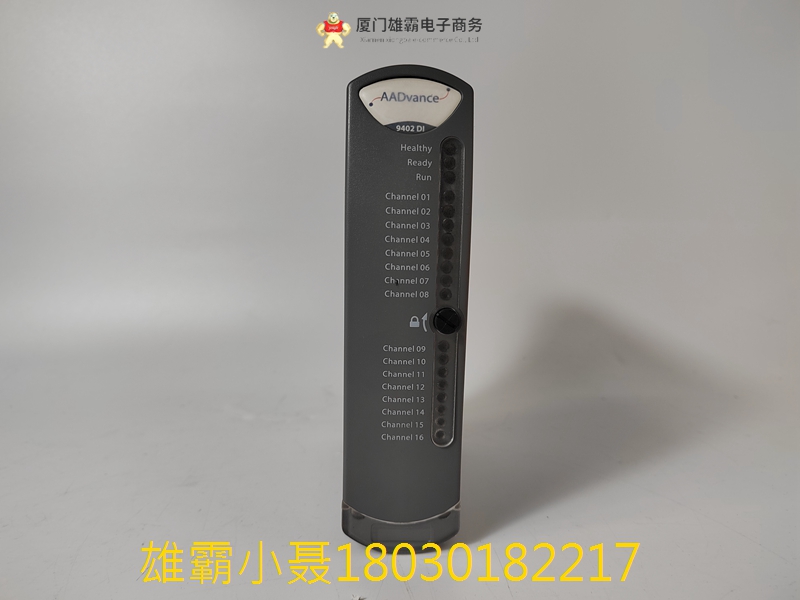 ICS Triplex T9401 输入模块数字 24VDC 8 通道隔离 