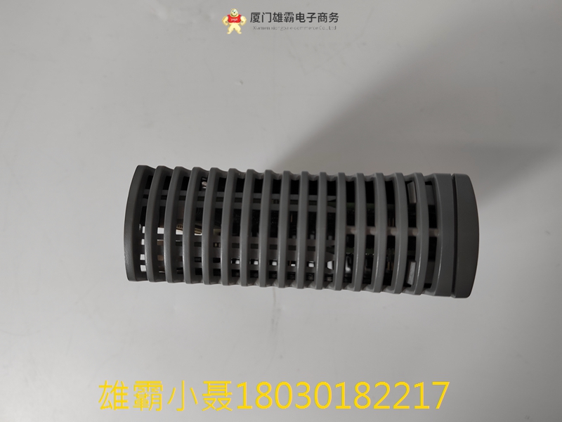 ICS Triplex T9401 输入模块数字 24VDC 8 通道隔离 