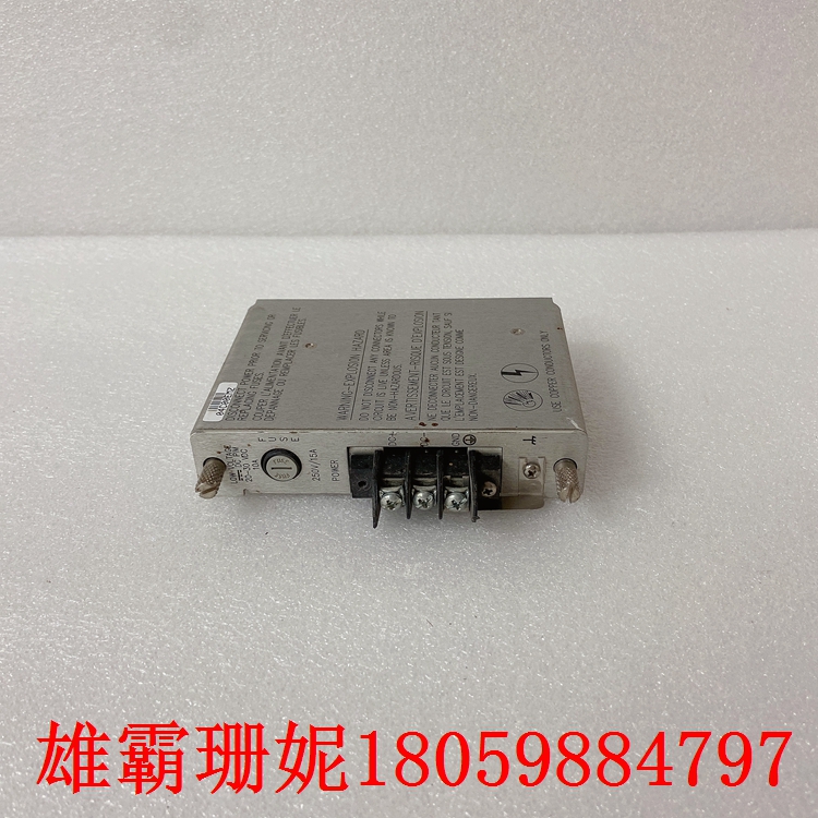 133300-01  低压DC电源输入模块    输入电压额定值为88至140 Vdc 