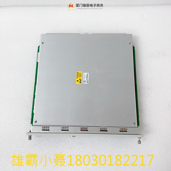 3500/22-01-01-00 Bently 瞬态数据接口模块 