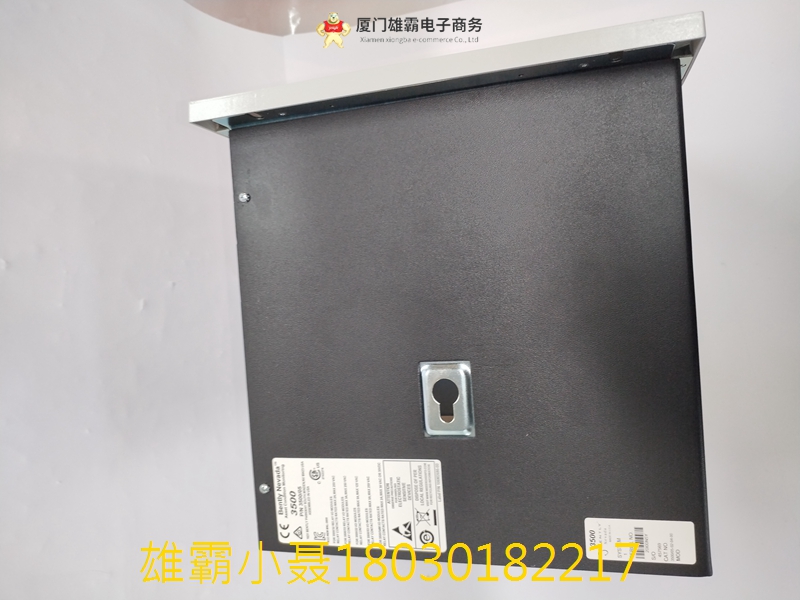 Bently Nevada 3500/15-07-07-00电源输入模块 