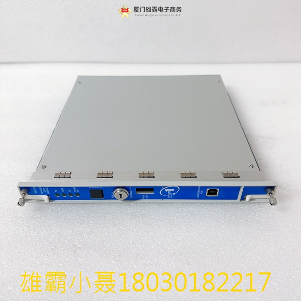 Bently Nevada 3500/22-01-02-CN 暂态数据接口模块 