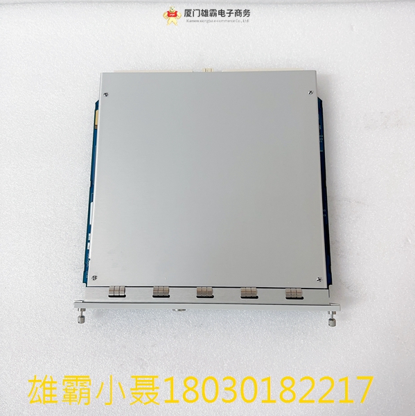 Bently Nevada 3500/22-01-02-CN 暂态数据接口模块 
