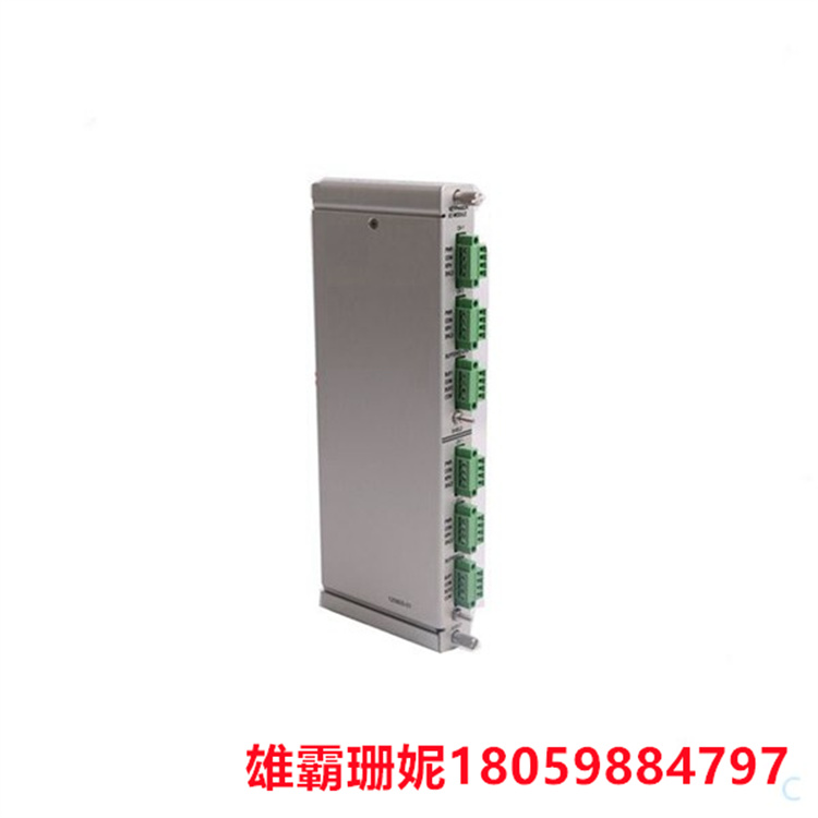 133323-01   用于通信网关 I/O 模块的 ModbusRS485 I/O 模块 