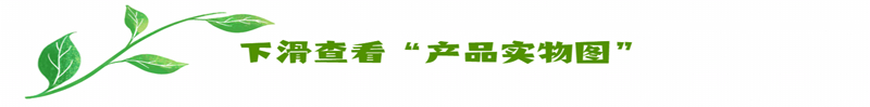 Honeywell-霍尼韦尔     51309204175     数字量模块 