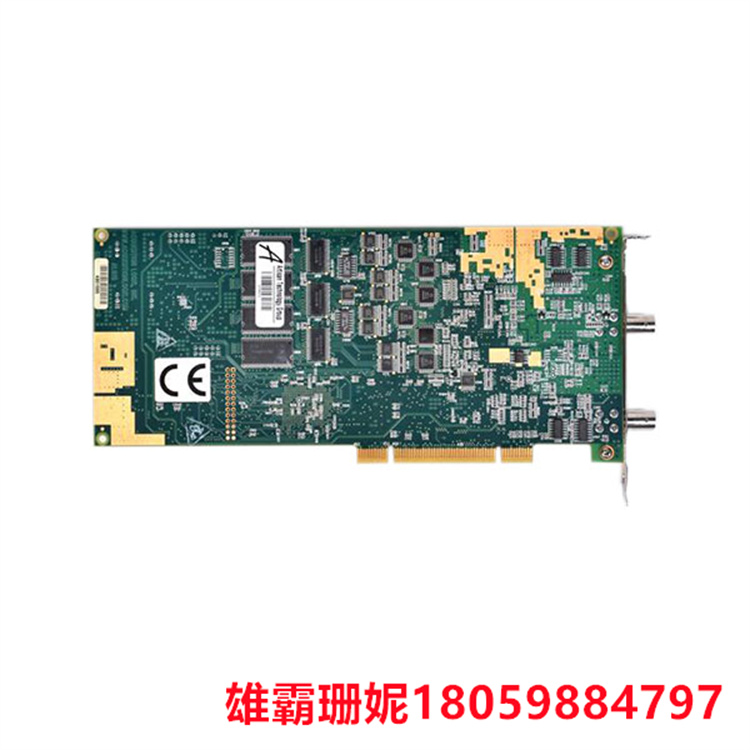 AL81G    单通道模拟输入板   带有用于模拟信号输入的 BNC 连接器 