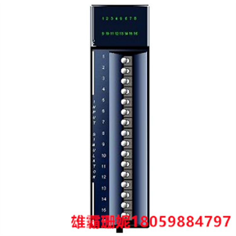 GE IC694ACC310 插槽填充模块 该模块有时称为虚拟模块