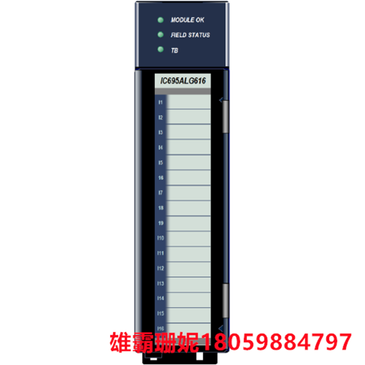 GE IC695ALG616 模拟输入模块 该模块是一种特定类型的模块