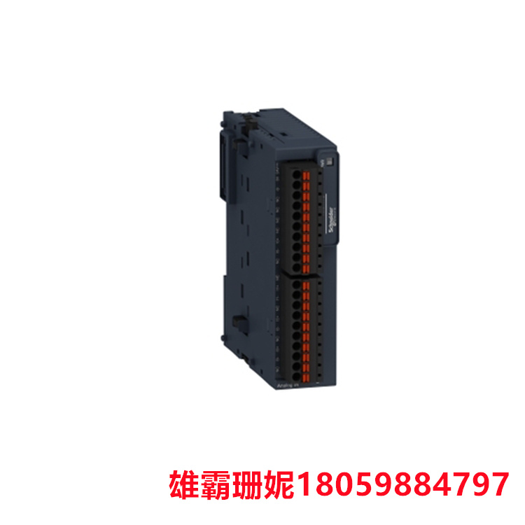 SCHNEIDER   TM3TI4G  模拟输入模块   它配有可拆卸的弹簧端子 