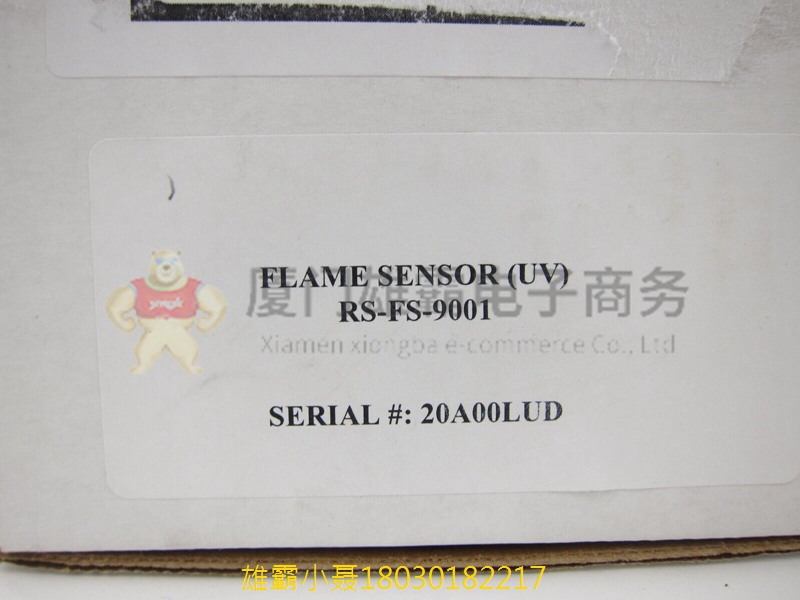 GE RS-FS-9001 362A1052P004 火焰传感器/探测器