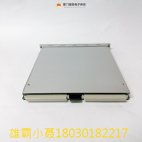 Bently 3500/65 145988-02 通道温度监视器 