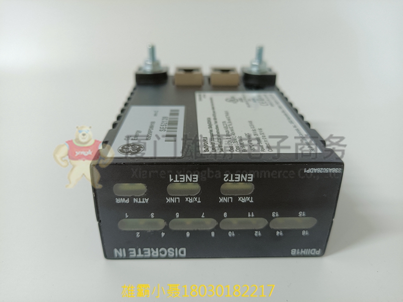 IS220PDIIH1B GE Mark VIe Speedtronic 系统的 I/O 包模块