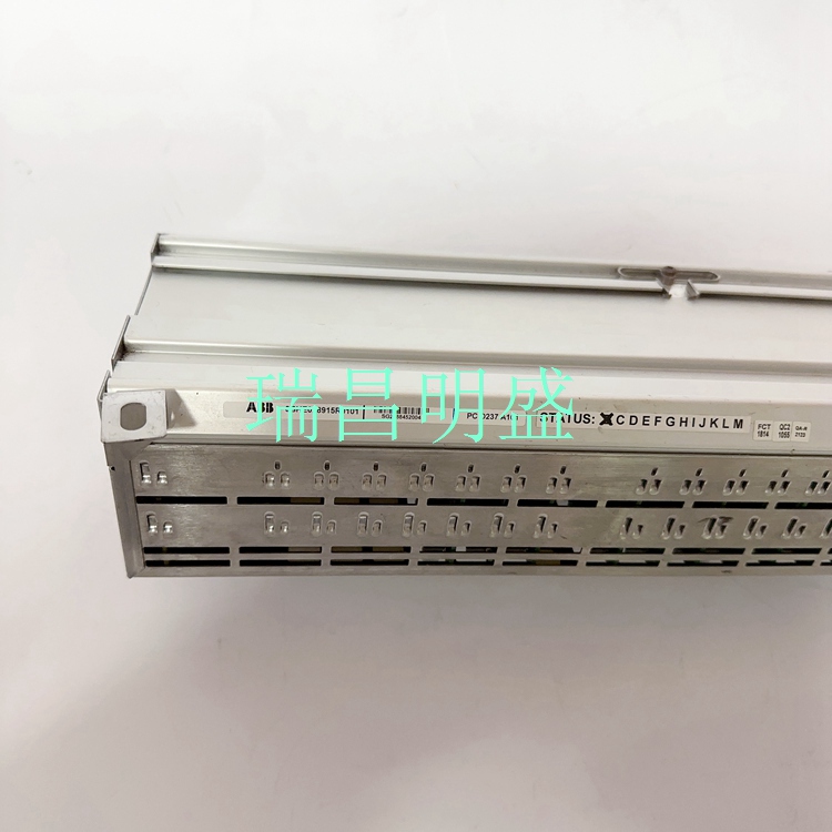 ABB 3BHE028915R0101模块 