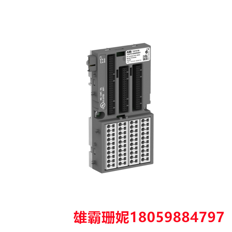 ABB TU516 1SAP212000R0001 I/O 终端单元 用于直流 I/O 模块的支架