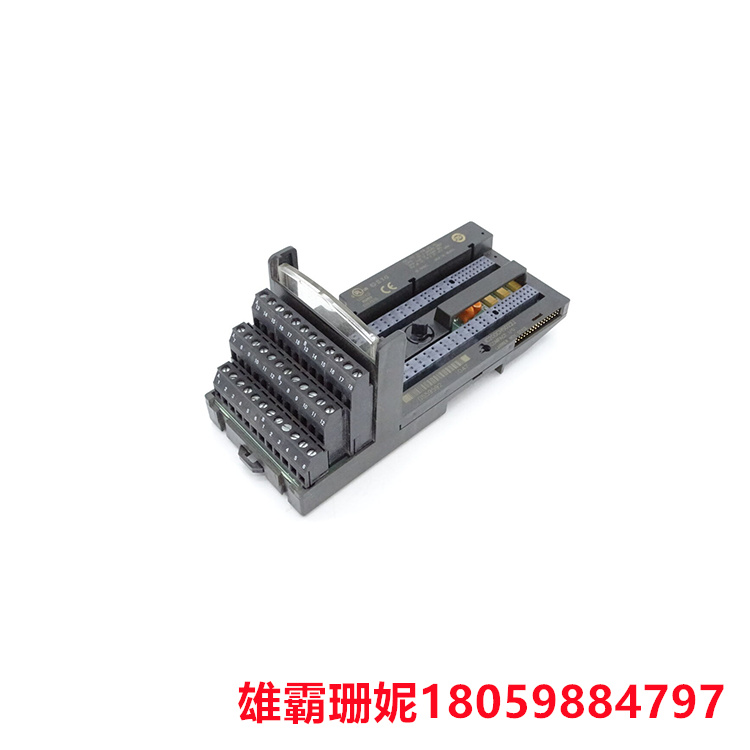 GE	IC200CHS022J  紧凑型箱式 I/O 托架   可以安装在DIN导轨或面板安装上 