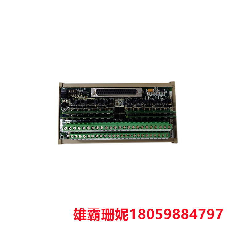 GE IS210DTAOH1AA 控制系统 适合各类应用