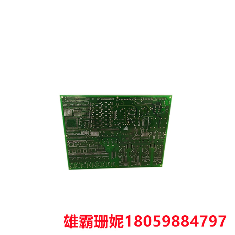 GE DS200DCFBG1BLC PLC控制电源模块 具有 12 个可配置跳线