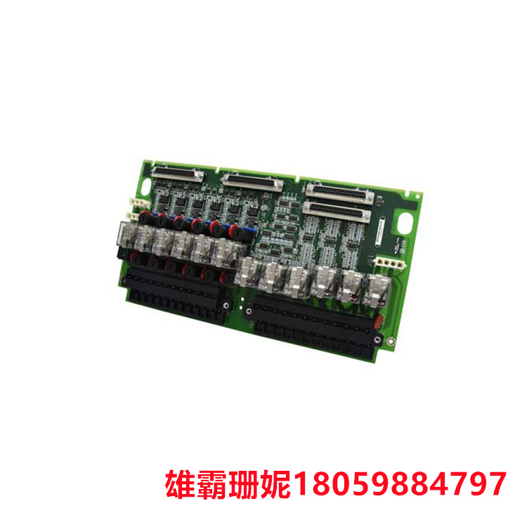 GE IS200TBCIH2CAA 数字量输入模块 用作基于微处理器的控制器