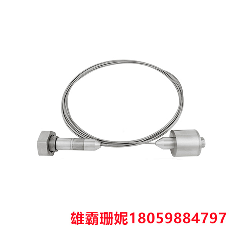 GE RS-FS-9001 362A1052P404 火焰跟踪器火焰探测器 满足客户规格规定的严格性能和验证要求