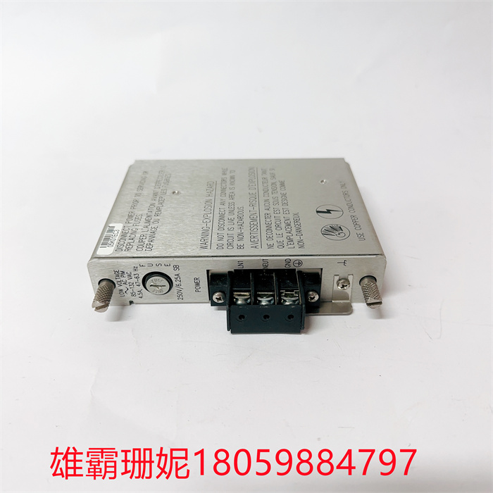 BENTLY 125840-02 3500/15低压交流电源输入模块 