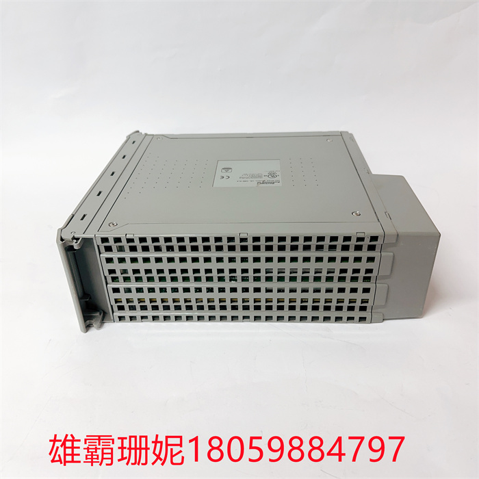 T8110B ICS TRIPLEX 可信TMR处理器 