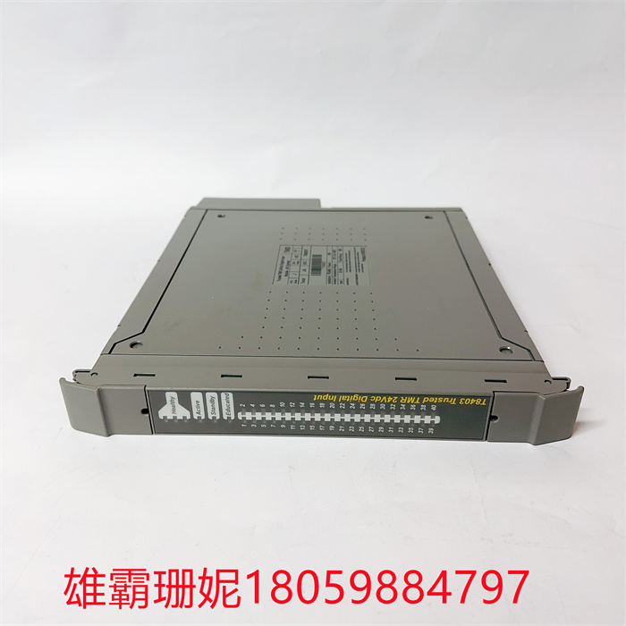 ICS TRIPLEX T8403 可信TMR 24 Vdc数字输入模块40通道 