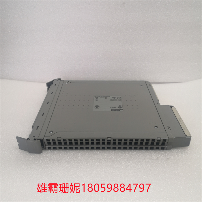 ICS TRIPLEX T8461C 控制系统模块 品质完 美，无愧于心 