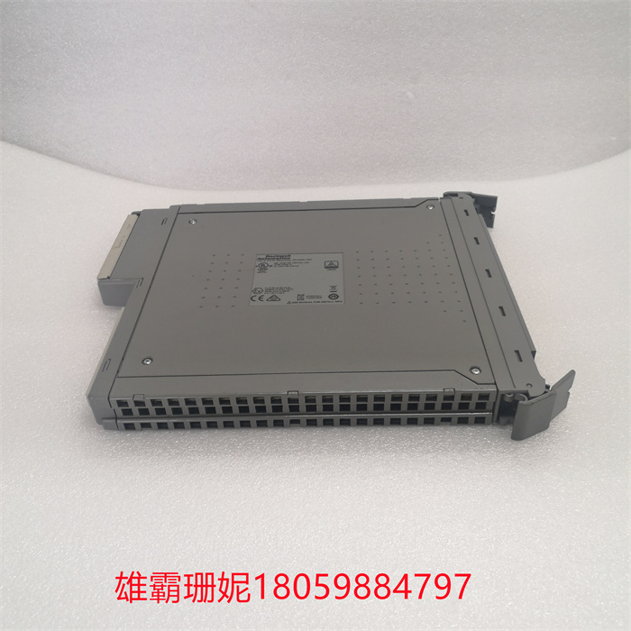ICS TRIPLEX T8461C 控制系统模块 品质完 美，无愧于心 