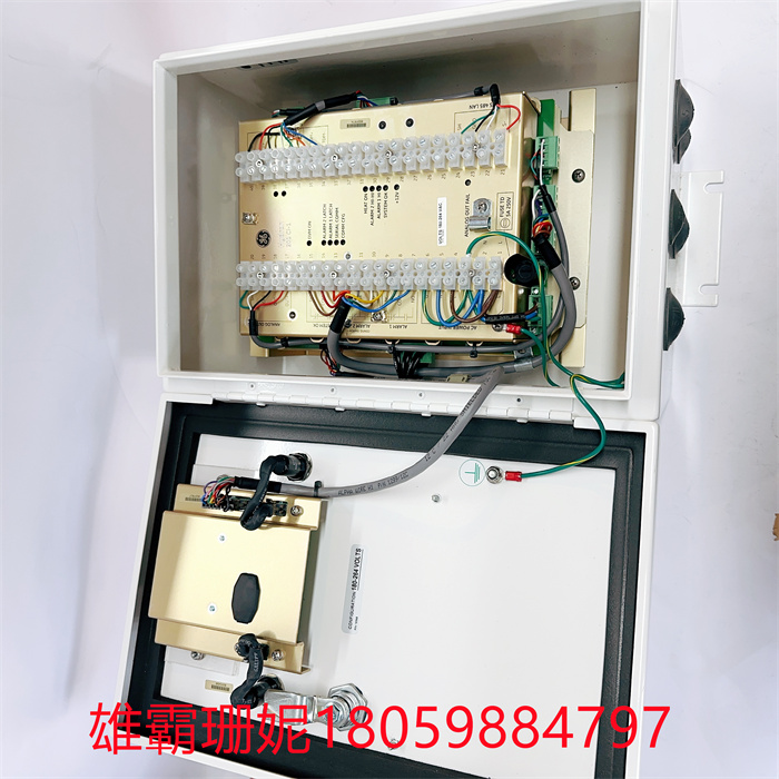GE H201CI-1 在线检测仪 