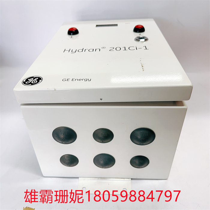 GE H201CI-1 在线检测仪 