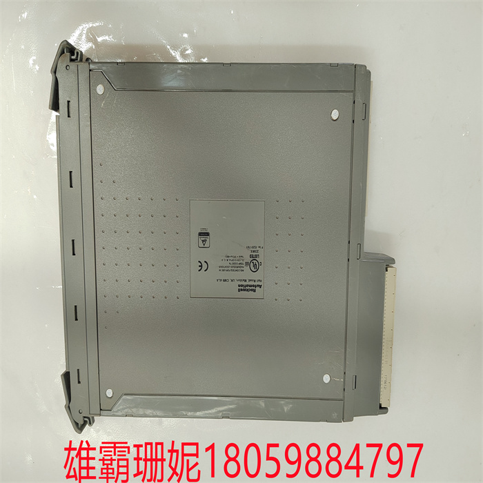 ICS TRIPLEX T8310 可信扩展处理器 