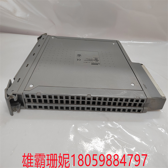 ICS TRIPLEX T8310 可信扩展处理器 