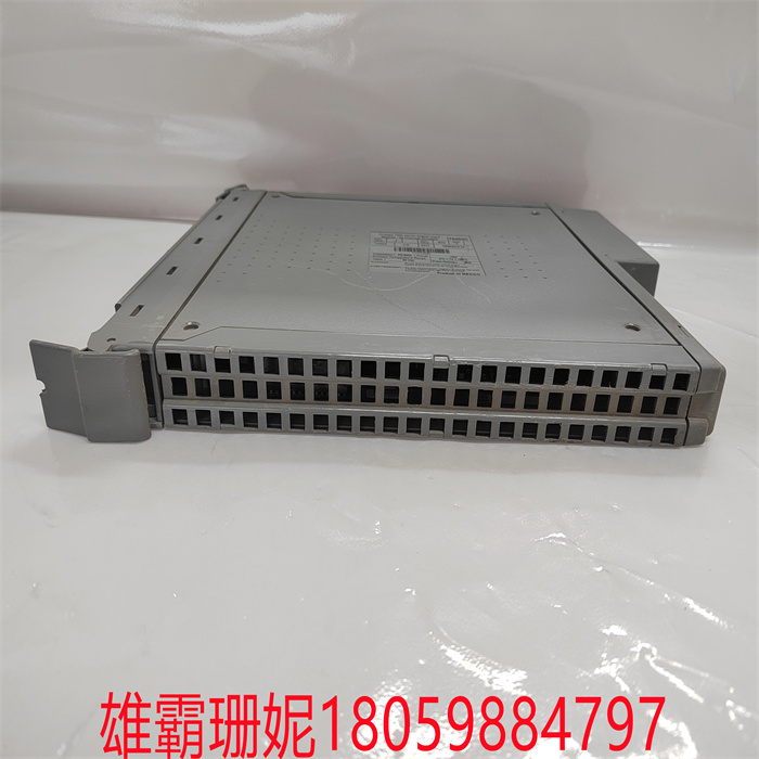 ICS TRIPLEX T8311  DCS系统模块 智能控制，极 致亢龙 
