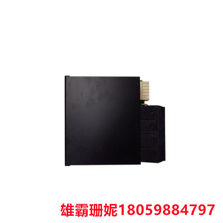GE UR6DH 数字 I/O 模块 用于指定模块特征的顺序选项
