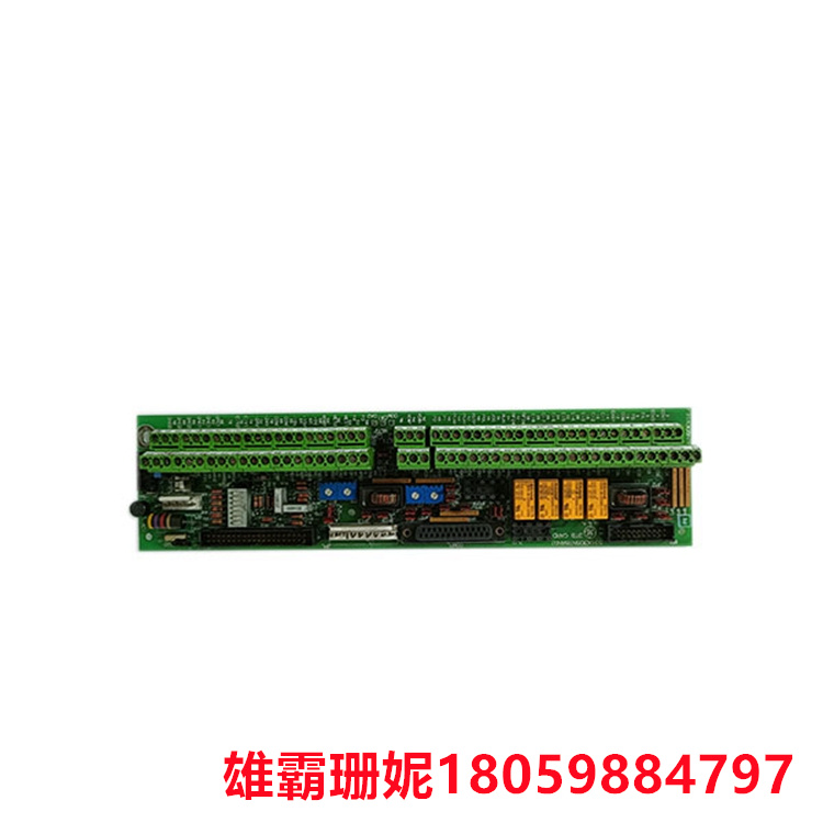 GE 531X305NTBANG1 端子板 该板提供了许多接口系统功能