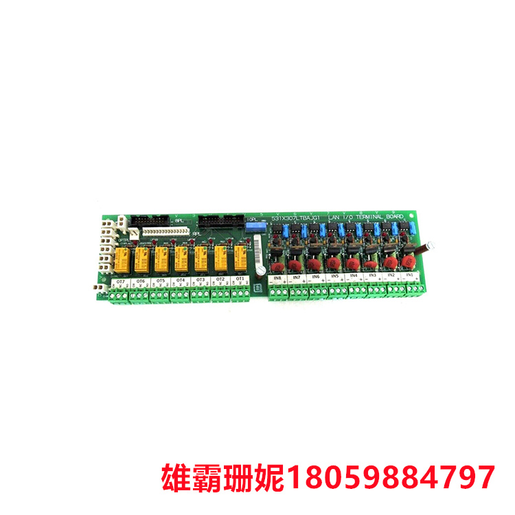 GE 531X307LTBAJG1 局域网终端板 它位于 531X 系列替换板下