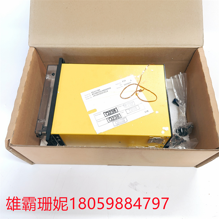 GEC ALSTHOM MCHN02D1AB0005A 控制柜节点单元 诚信交易 