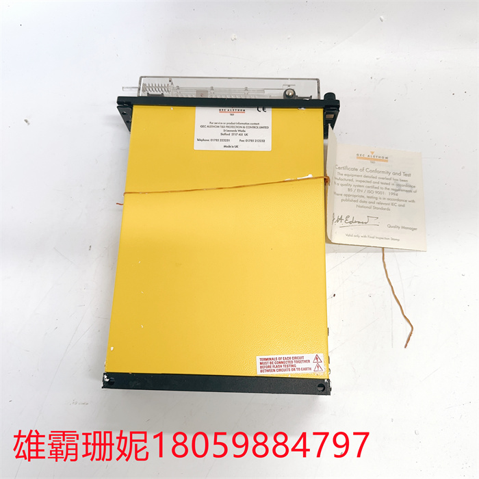 GEC ALSTHOM MVAX12B1DA0753A 模块连接器 诚信交易 