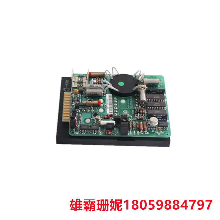 GE IC698PSA100 电源模块 它配有螺钉式输入端子