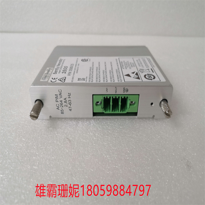 BENTLY 106M1081-01电源输入模块