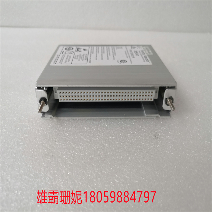 BENTLY 106M1081-01电源输入模块