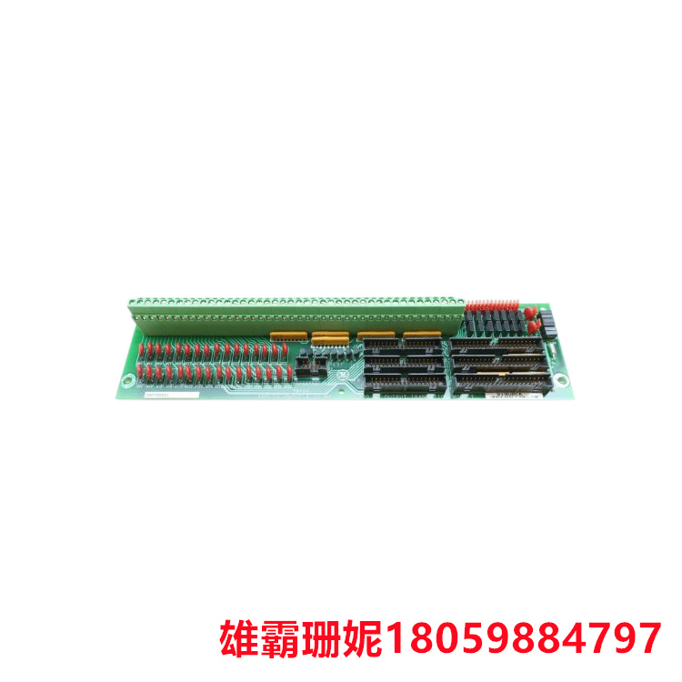 GE DS200CTBAG1ADD 端子板 只有几种类型的元件