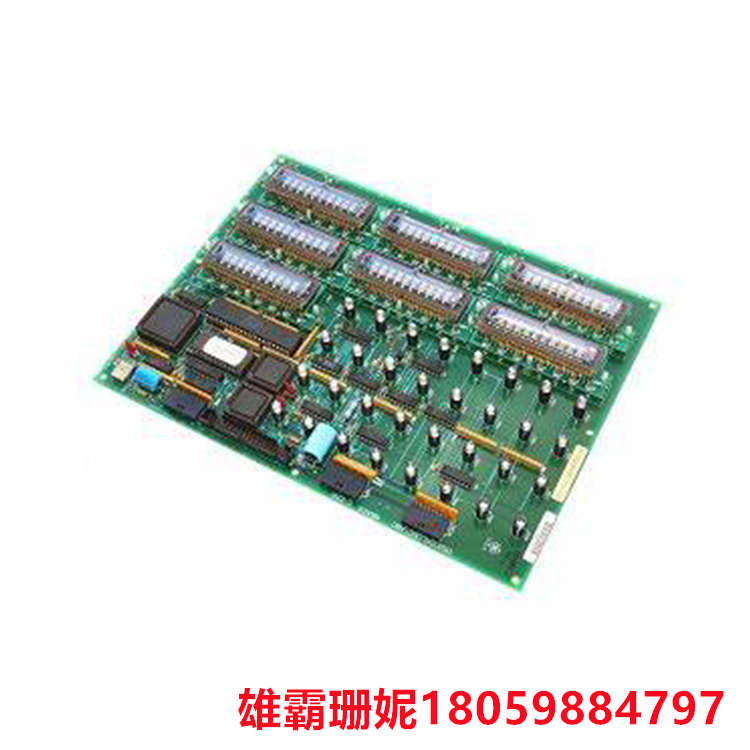 GE  DS200KLDBG1ABC   显示板    只有几个间隔良好的组件 