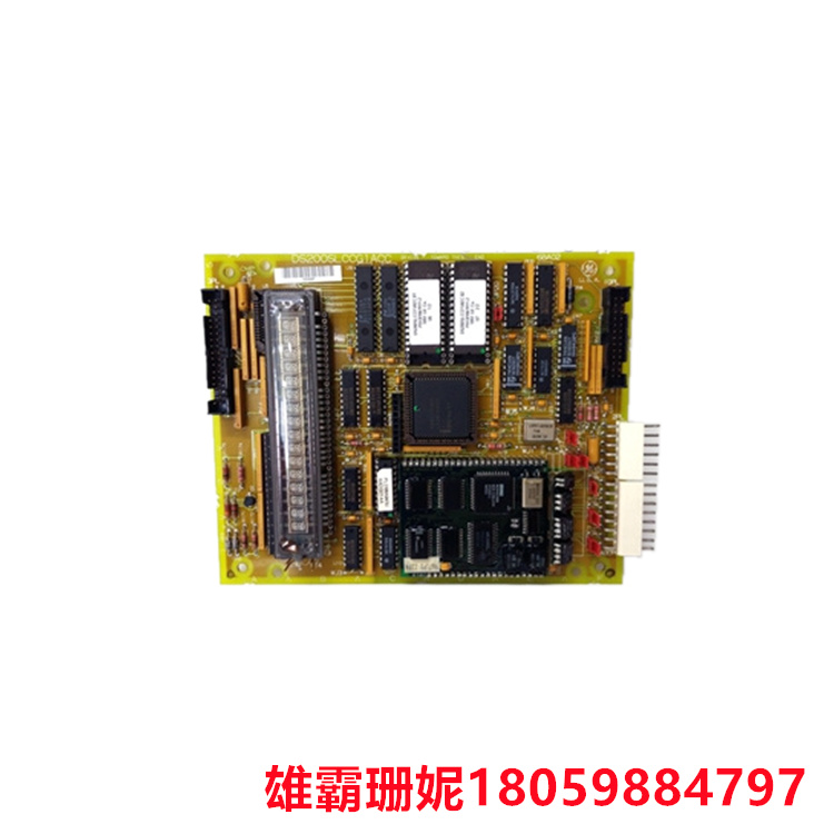 DS200SLCCG1AFG DS215SLCCG1AZZ01A 处理器模块 2023年新款