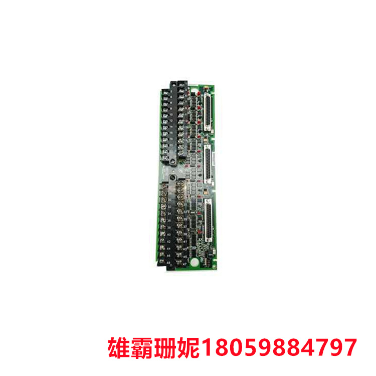 GE  IS200TBAIH1C   模拟输入端子板   可以为模拟输出配置0-20 mA或0-200 mA的电流 