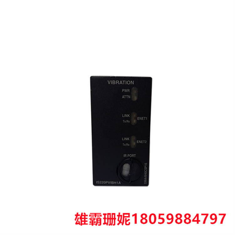 GE IS220PVIBH1A 振动监测器包 该套件的主要组件是主处理器板